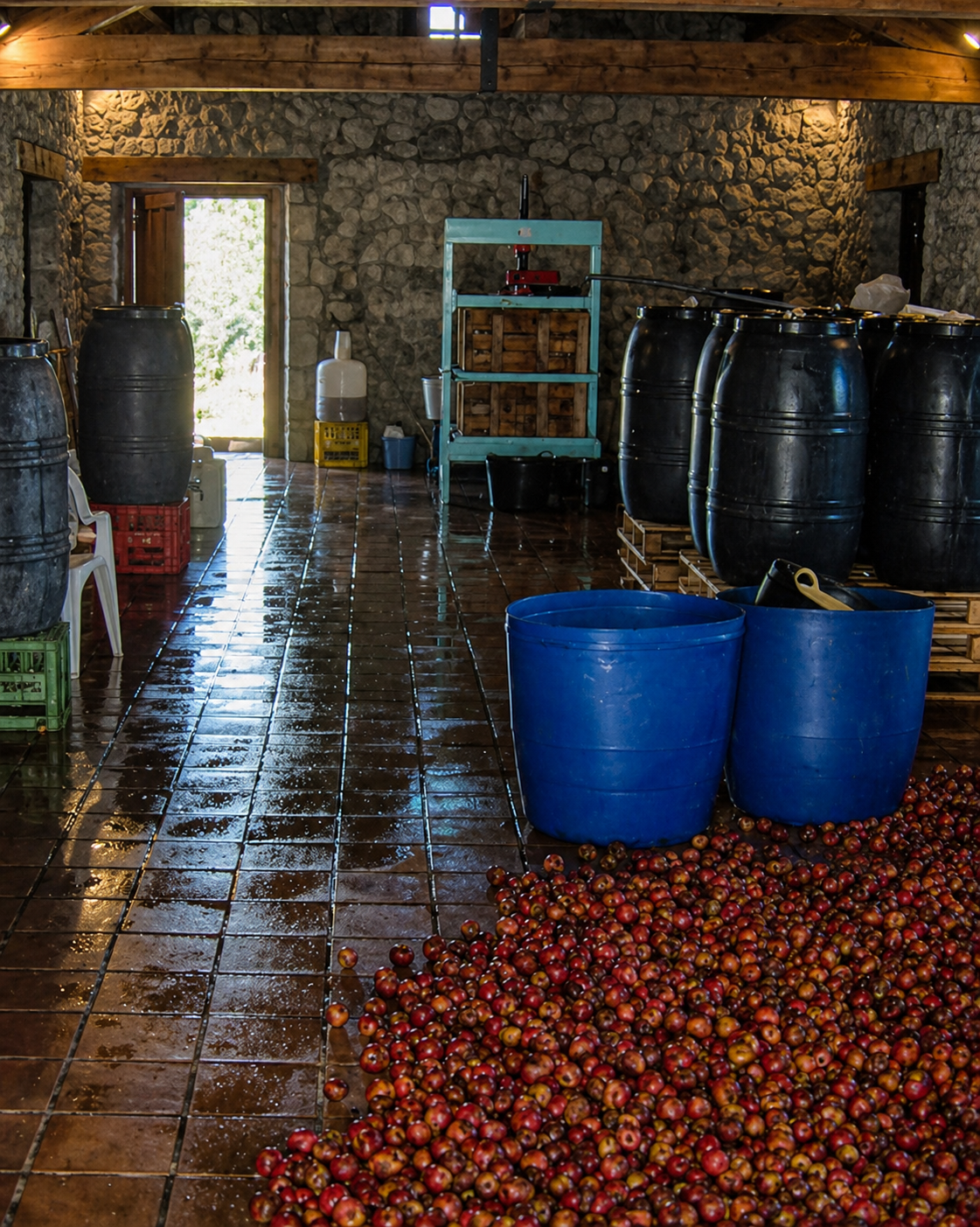 Manzanas en el Molino de Cerroja