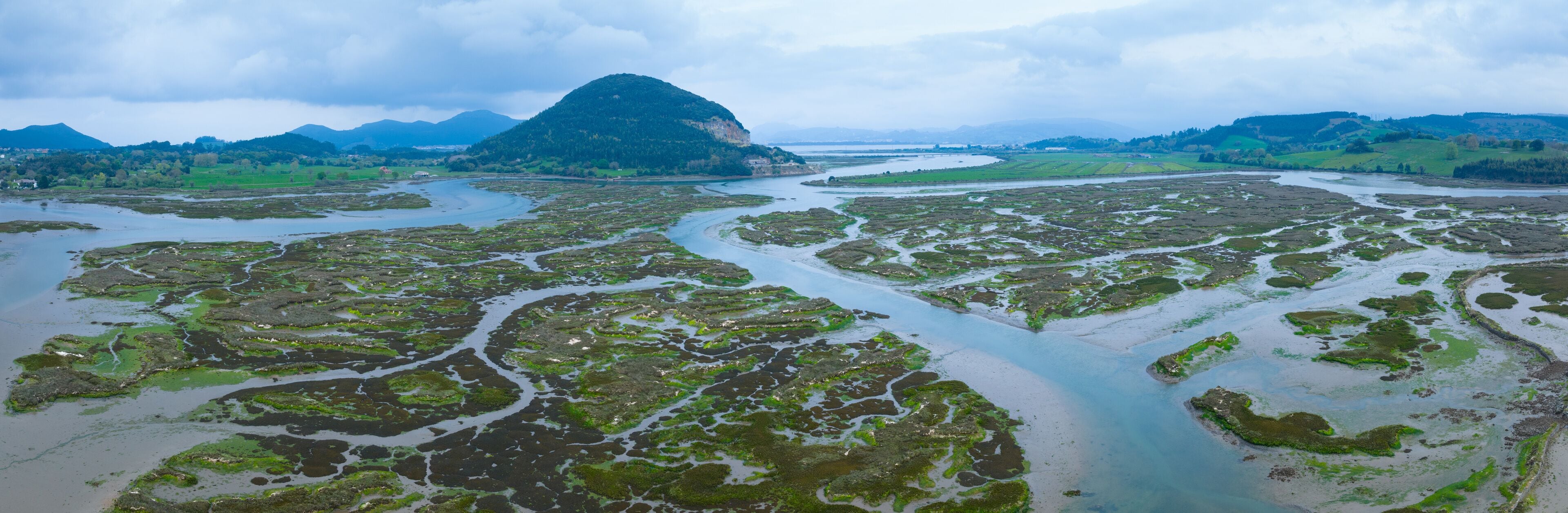 Paisaje de las marismas de Escalante.